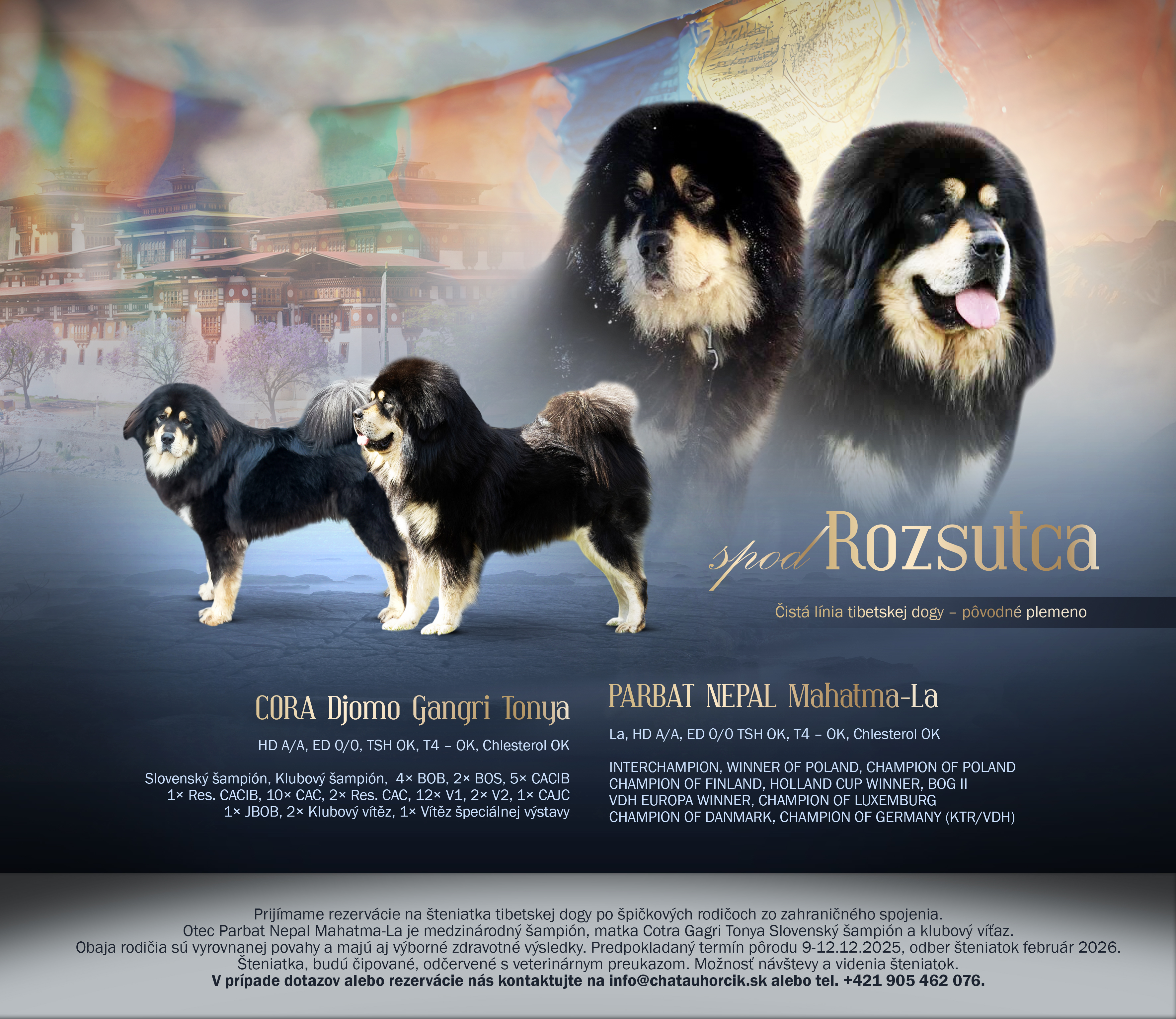 spodRozsutcaSKOprava