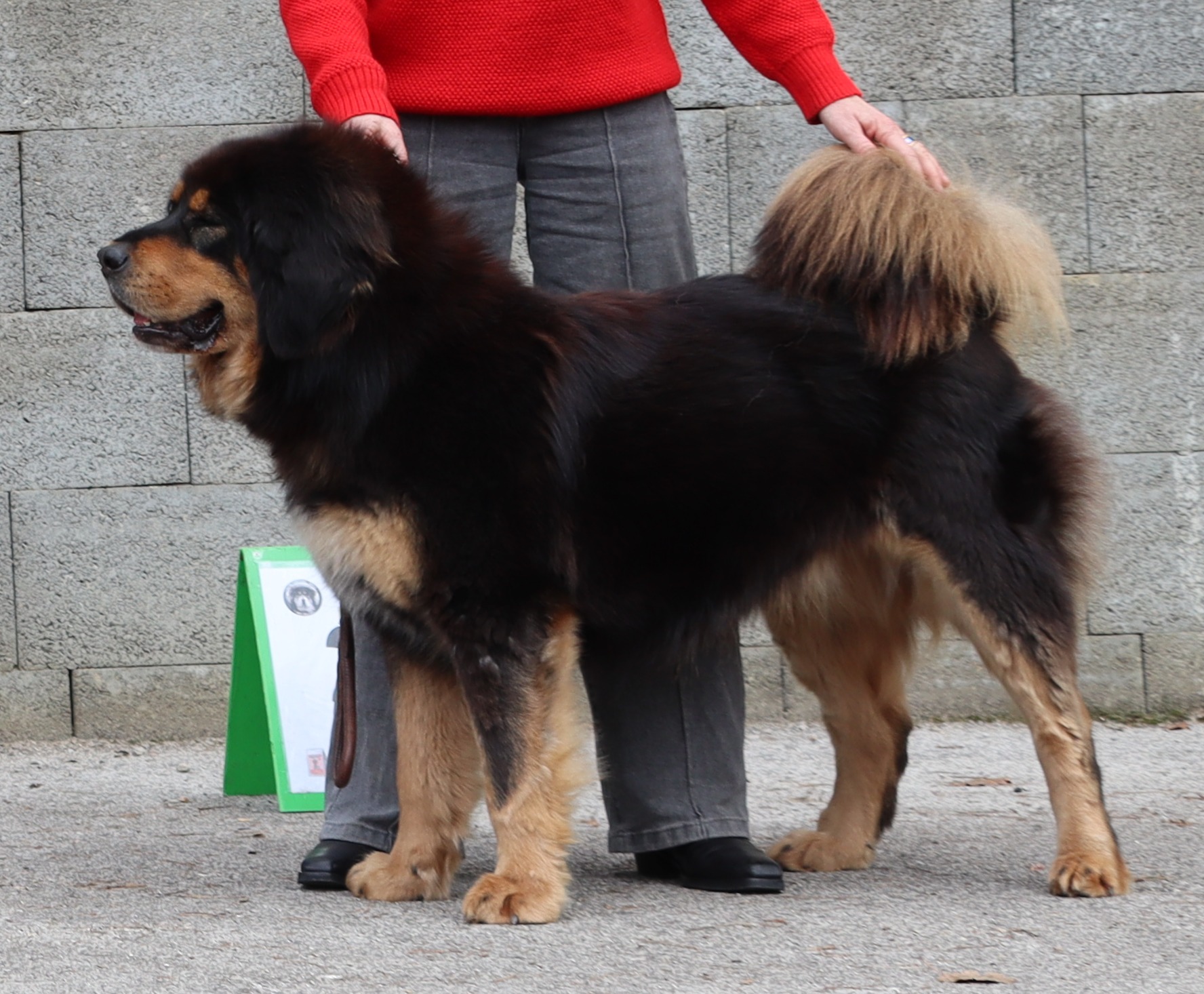 nandakini mahatma la