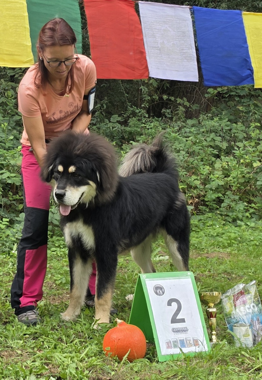 GYALPO Vládce noci