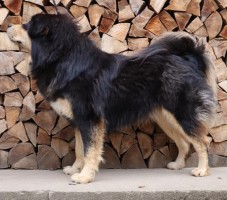 yarlung-zara-gangkar.jpg