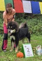 gyalpo-vladce-noci.jpg