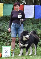 firmi-vladce-noci.jpg