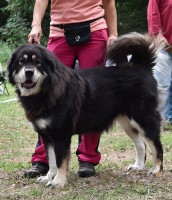 cassie-vladce-noci.jpg